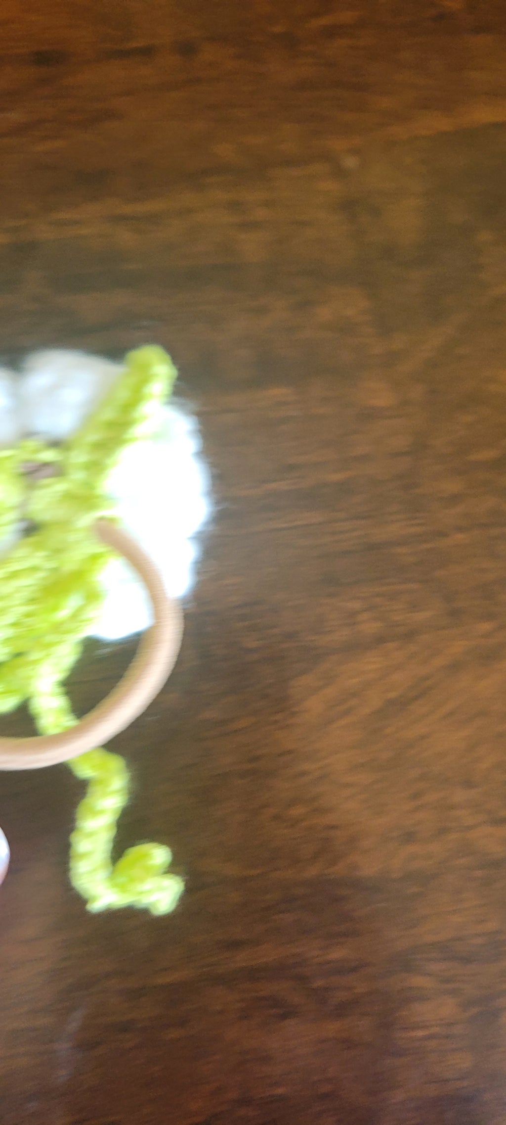 Pony tail elastic