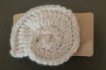 Sea shell clip